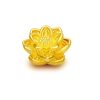 Charm Hoa Sen Vang