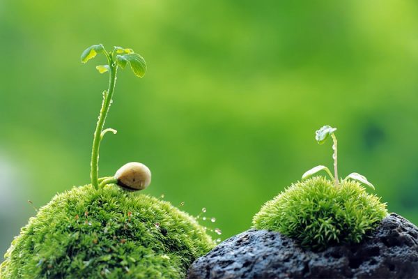 Phong Thuy Sinh Luc Cuoc Song