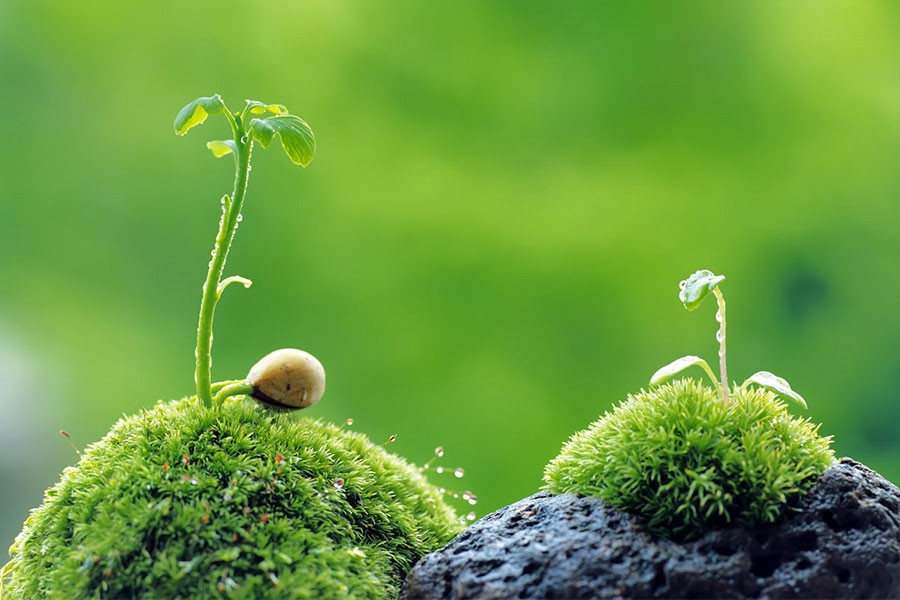 Phong Thuy Sinh Luc Cuoc Song