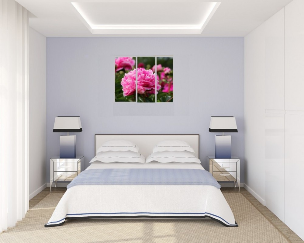 Treo Tranh Trong Phong Ngu