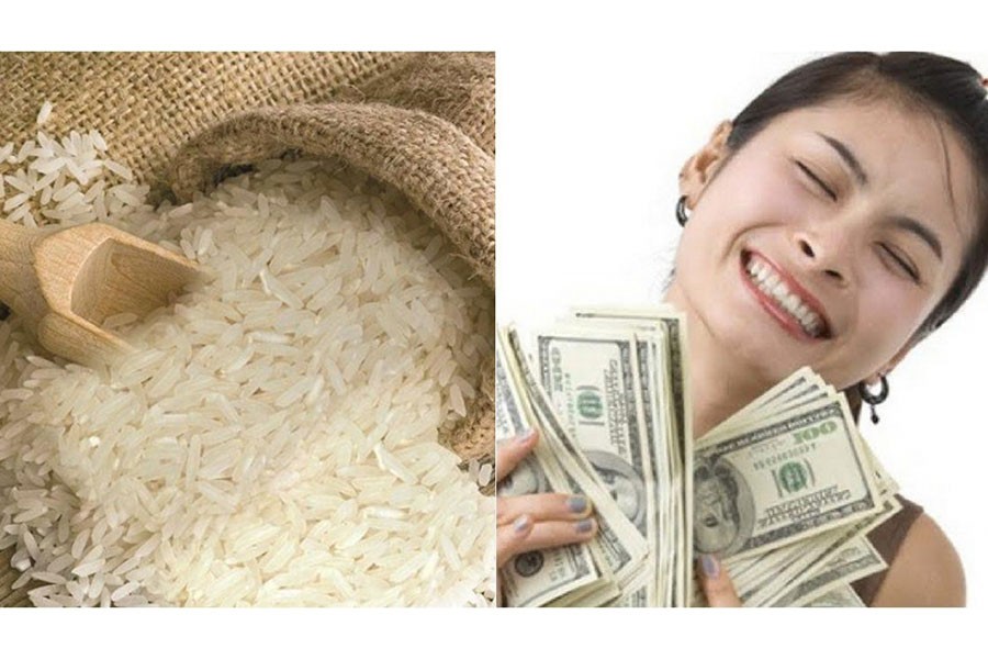 Tu Lanh Thung Gao Va Tui Tien