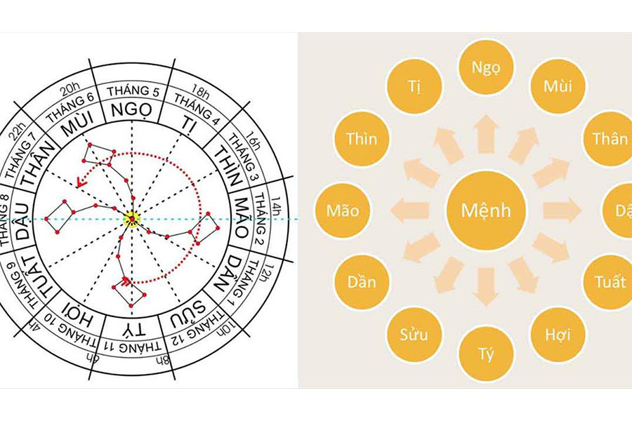 Anh Huong Am Duong Ngu Hanh Thien Can Dia Chi Doi Voi Benh Tat