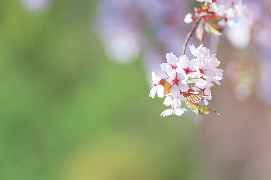 Thuc Than Gap Sat An Tuc Thuc Than La Dung Than