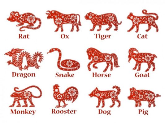 Chon Trang Suc Phong Thuy Cho 12 Con Giap The Nao Moi Dung