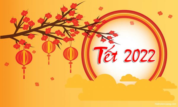 Con Bao Nhieu Ngay Nua Den Tet Nguyen Dan Nham Than 2022 (5)