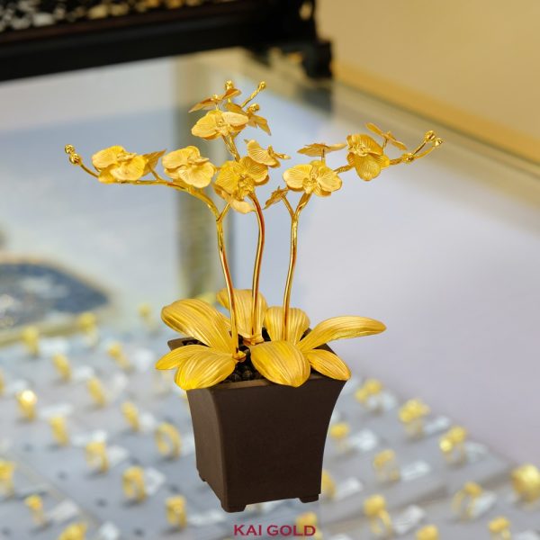 cây phong thủy dát vàng